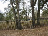 Glenmore Forest park 8000 Wingo Houston, Texas 77055 (25).JPG